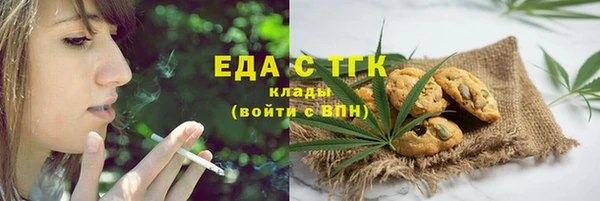 стаф Аркадак