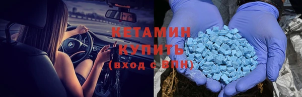 стаф Аркадак