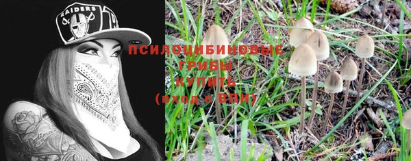 стаф Аркадак