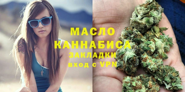 стаф Аркадак