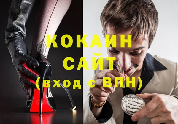 стаф Аркадак