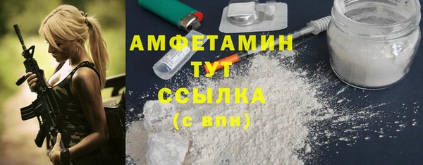 стаф Аркадак
