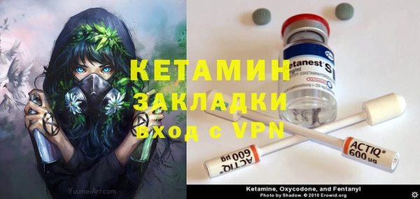 стаф Аркадак