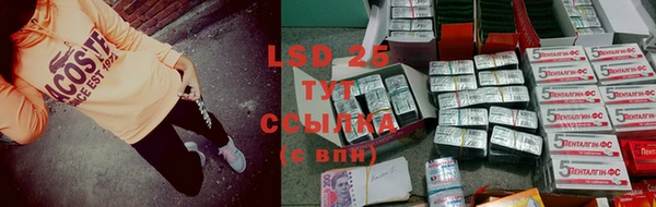 стаф Аркадак