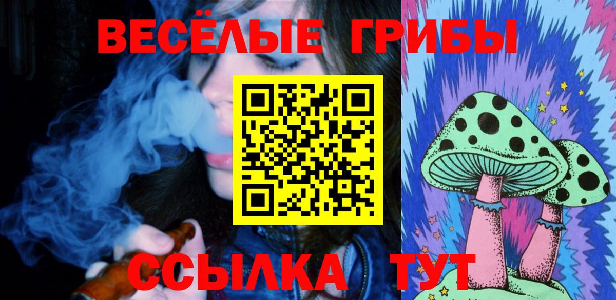 Псилоцибиновые грибы GOLDEN TEACHER Елабуга